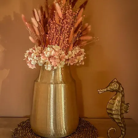 Vendégház Pino - Villa, Casa, Cucina е Terrazza