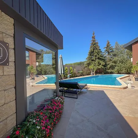 Pino - Villa, Casa, Cucina е Terrazza Albena