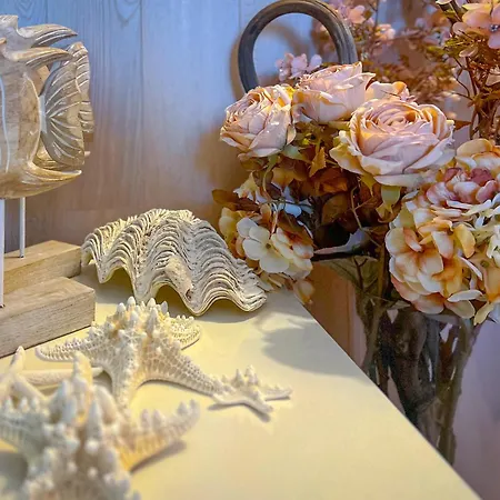 Pensión Pino - Villa, Casa, Cucina е Terrazza 4*