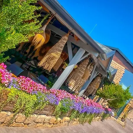 Pino - Villa, Casa, Cucina е Terrazza בית הארחה 4*