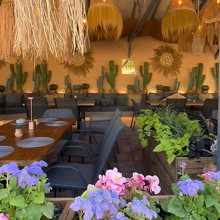 Pino - Villa, Casa, Cucina е Terrazza 4*